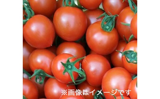 イメージ画像
