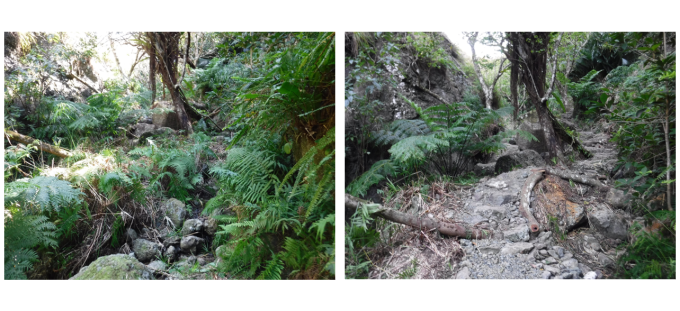 　 左：施工前　／　右：施工後