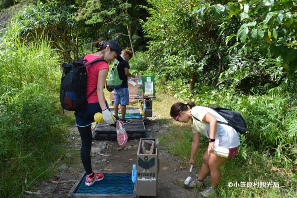 外来動植物を山域に持ち込まないよう、登山道入口で対策を行っています