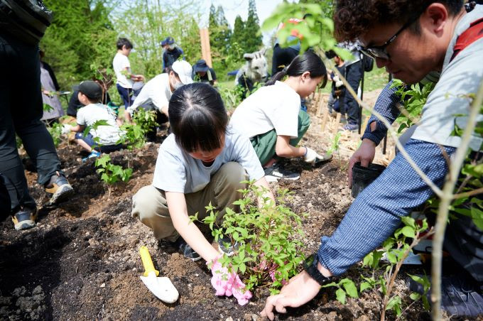 多種多様な広葉樹の苗木を、参加者みなさんの手で植樹しました。