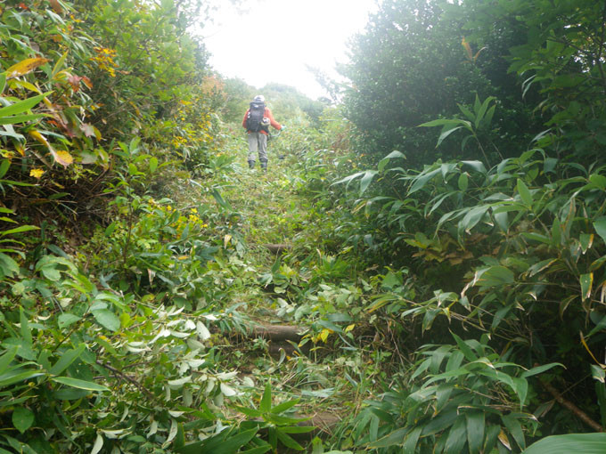 草刈り機でやぶ払い中