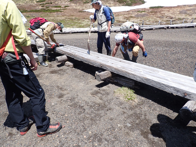 木道整備の様子。廃材や土石で木道の高さを揃える作業です。