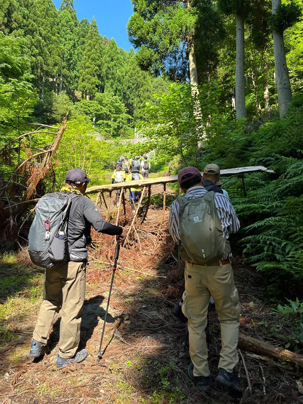 トレイルコースを塞ぐ倒木