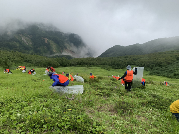 事業区での刈り取り作業の様子