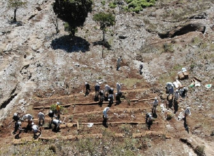 【比較写真A】2023年10月設置