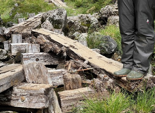 腐敗し、ボロボロになってしまった木道