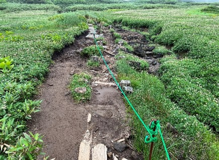 施工前・崩れた木道と踏まれて裸地化した登山道脇