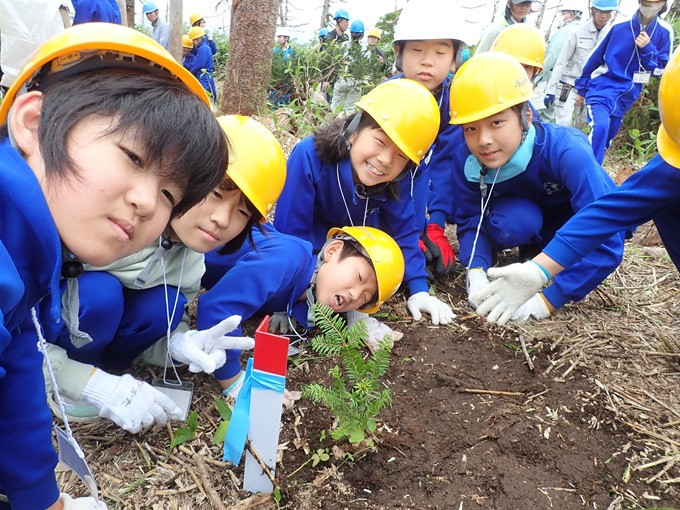 子どもたちが参加する稚樹移植活動の様子