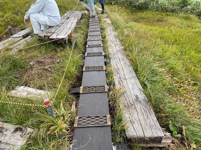 2024年　材料を再生木材に変更し木道の長寿命化を図ります。