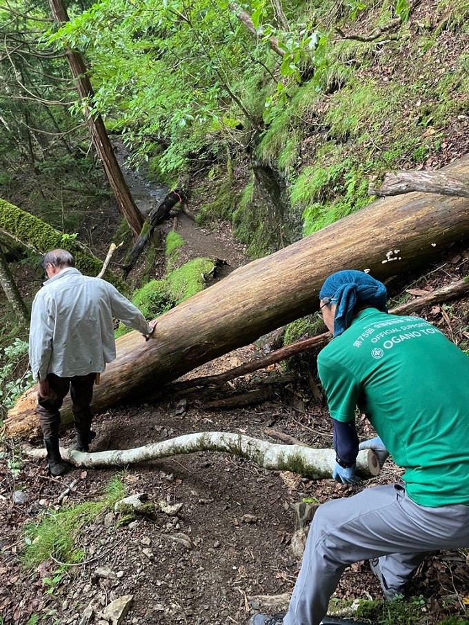 登山道の倒木処理の様子