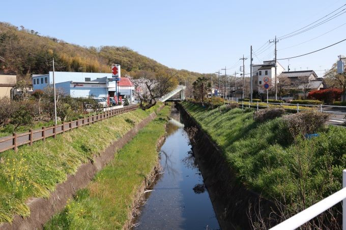 被害により消失した桜並木(被害後)