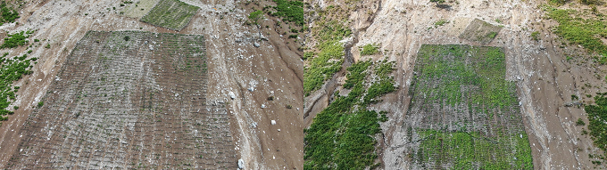 （左）2025年５月の状  況　（右）2025年７月の状況