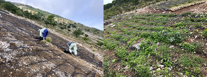 （左）2024年８月の状況　（右）2025年６月の状況