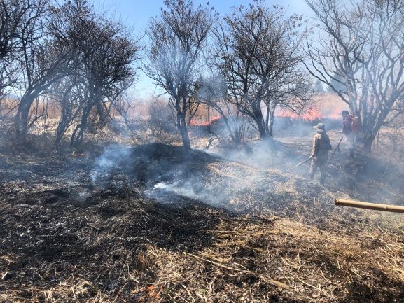 草原を守る野焼き