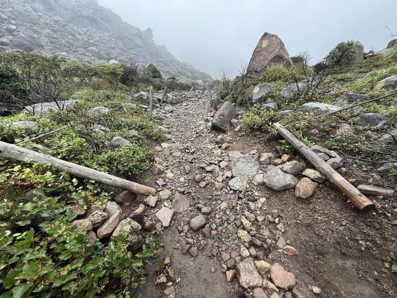 腐食により抜けた杭