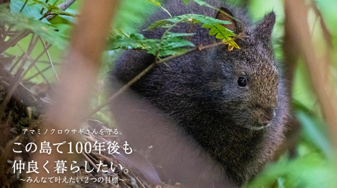 アマミノクロウサギさんを守る。この島で100年後も仲良く暮らしたい