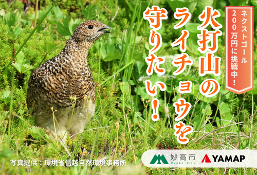 【ネクストゴール200万円に挑戦中】「火打山のライチョウを守りたい！！」絶滅危惧種「ライチョウ」の生息地保全活動