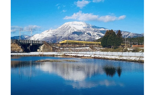 伊吹山植生復元プロジェクトへのたくさんのご支援ありがとうございました！