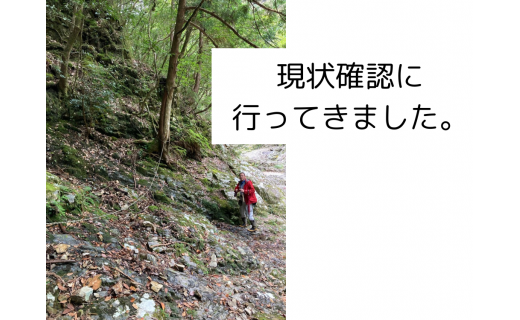 遊歩道の現状確認に行ってきました！