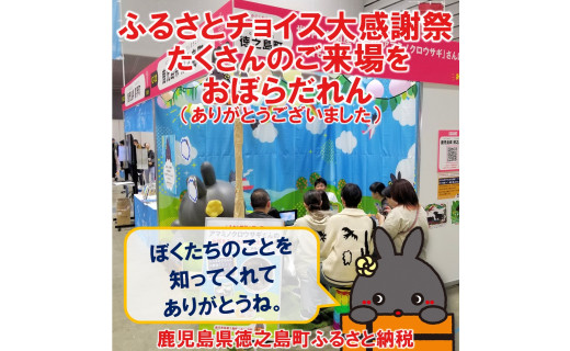 ~ふるさとチョイス大感謝祭でもアマミノクロウサギさん押しです♪~