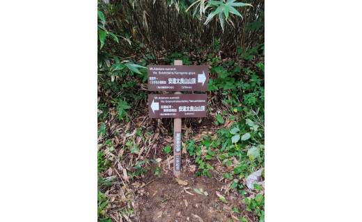 安達太良山登山道の道標修繕完了