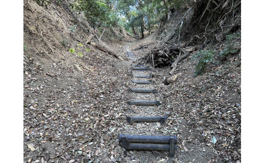 【整備進捗】登山道の整備が進んでいます！