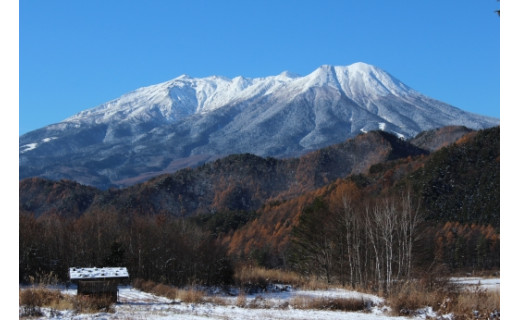 【御礼】目標金額達成！プロジェクトの受付を終了しました