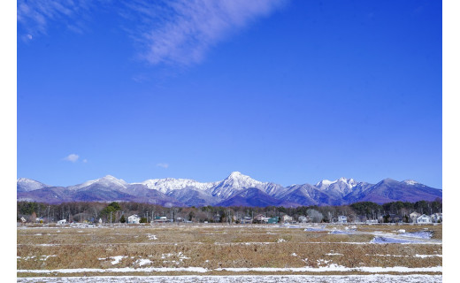 心温まるご支援をいただきありがとうございました。