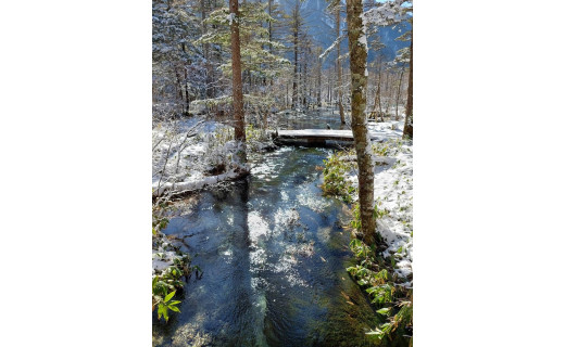 今年度も多くの皆様にご協力いただき誠にありがとうございました！