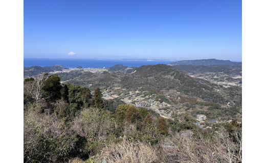 【整備進捗】北峰景観の確保が進んでいます！