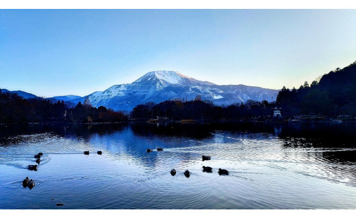 伊吹山植生復元プロジェクトへのたくさんのご支援ありがとうございました!