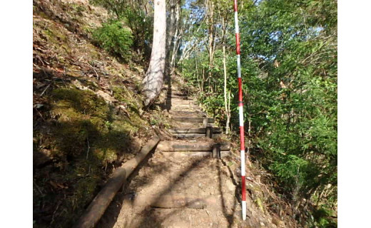 【御礼】「前鬼・不動七重の滝遊歩道」の修繕が完了しました！