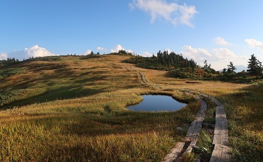 目標金額達成です！ありがとうございます！！