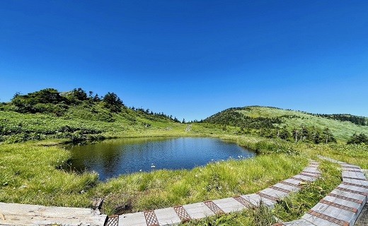 11月30日で受付終了しました！