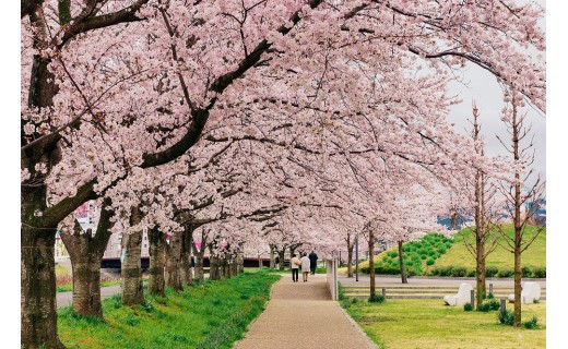 プロジェクト終了まで残り１週間！