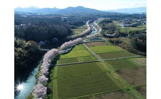 プロジェクトへのご支援、ありがとうございました。