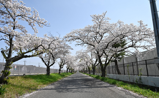   【プロジェクトの受付期間終了】多くのご支援をいただき、ありがとうございました。