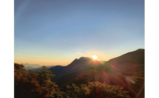 ご寄附へのお礼とくじゅう連山の自然環境整備のご報告