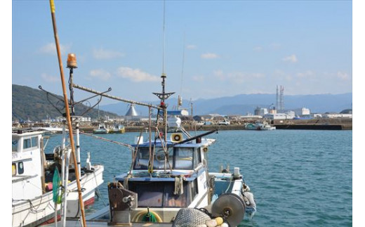 一尾一尾丁寧に手作業で切身加工。