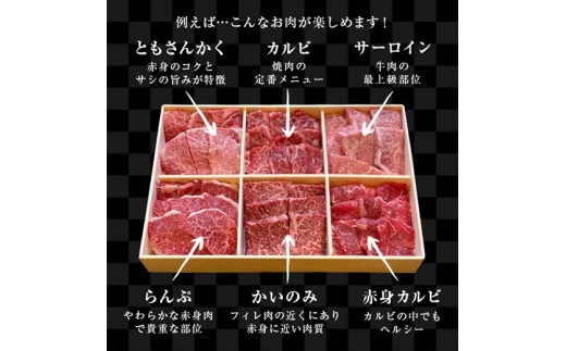 例えば…こんなお肉を食べ比べ
霜降り肉/カルビ系/高級ロース/ももの希少部位/上カルビ系/赤身のカルビ系など♪