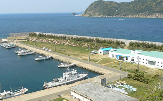 佐賀県呼子港から船で20分、玄海灘に浮かぶ加唐島で
製塩してお ります。自然豊かで海の恵の”一の塩”
ぜひご賞味下さい。