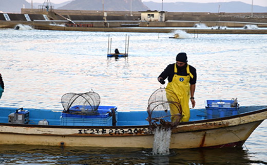 車海老の養殖は、微生物が持っている自浄能力を最大限に活用することで、
健全かつ安心できる養殖を可能にしました。