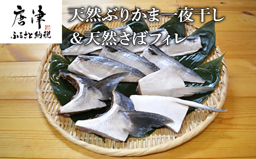 天然ぶりかま一夜干しと天然サバフィレのセットをお届け