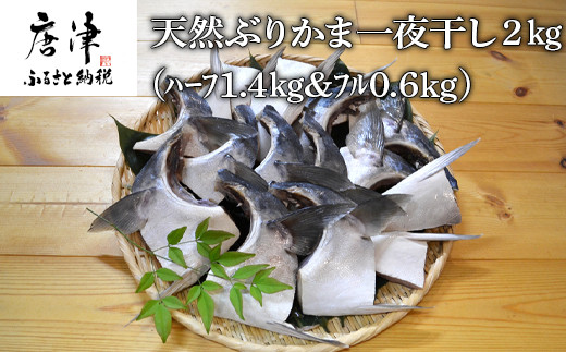 天然ぶりかま一夜干し　ハーフ＆フル　セットをお届け