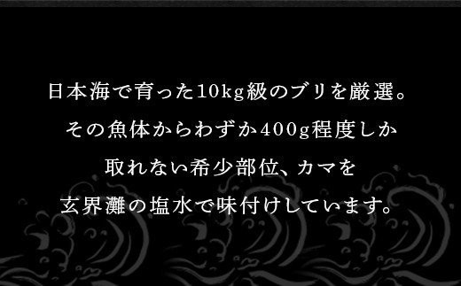 日本海で育った10kg級のブリを厳選し、その魚体から400g程度しか取れない希少部位カマの商品化した逸品。