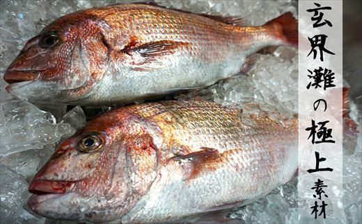 玄界灘でとれた極上の鯛を使用。
豊かな漁場から新鮮で活きの良い魚を仕入れております。