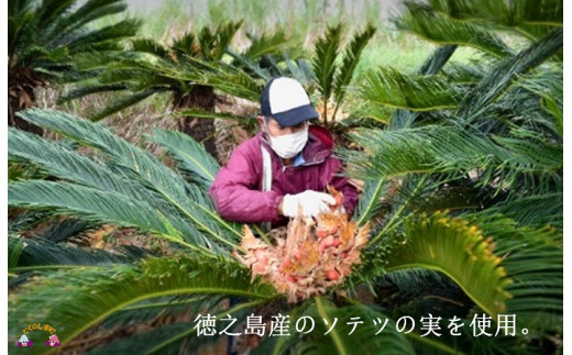 徳之島のソテツの実を使用しています。