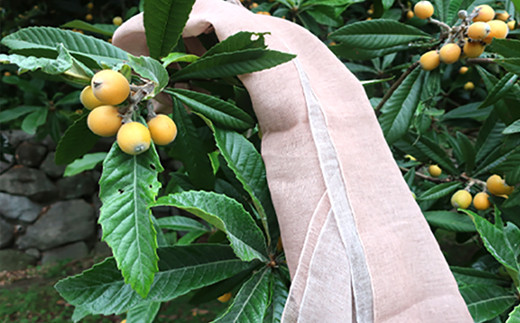 草木染ストールはびわの葉で染液を作り、
全工程6日～8日程度かけて染め上げています。