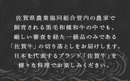 日本を代表するブランド「佐賀牛」
様々な料理に大活躍の佐賀牛切り落とし肉。
毎日の献立作りに大活躍すること間違いなし。