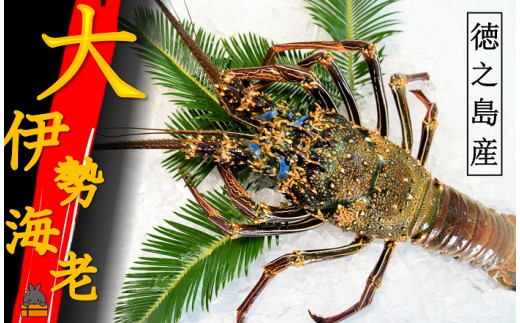 焼いても、お鍋や汁物でも、濃厚な味わいでとっても美味しいですよ！